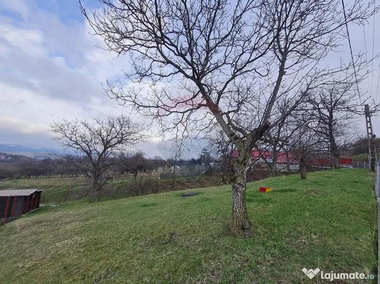 Teren intravilan la Strada Principala in Haulisca - 1