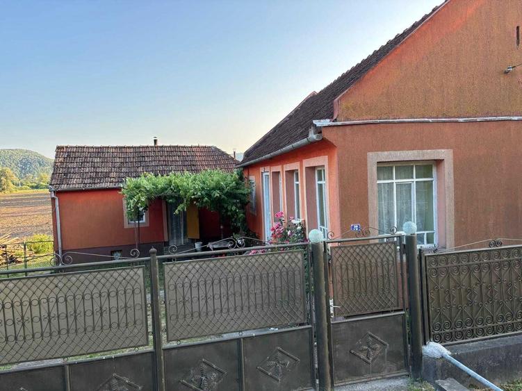 Casa de vanzare, judetul Arad - 8