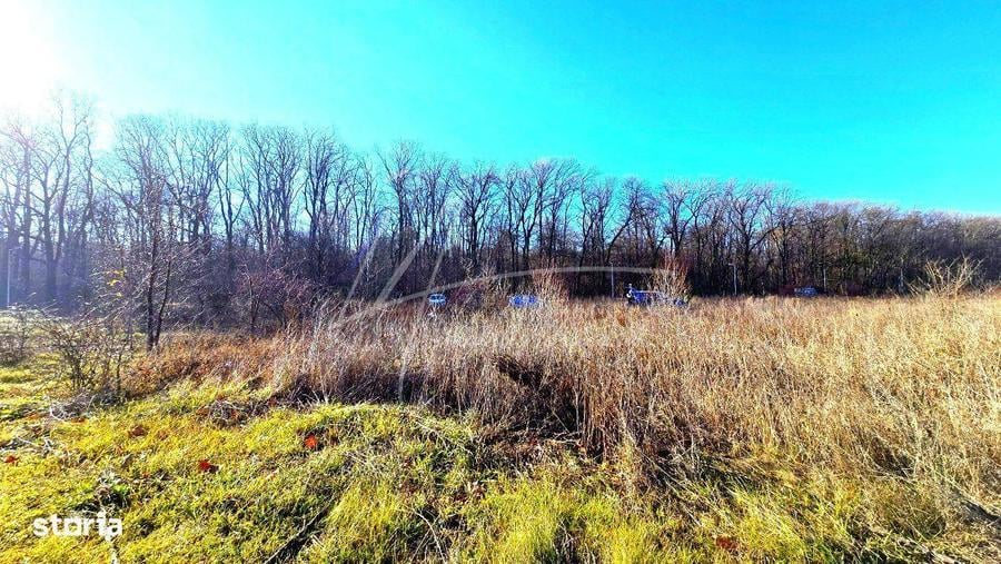 Teren intravilan, 2 fronturi, Drumul Padurea Pustnicu 65 - Greenfield - 8