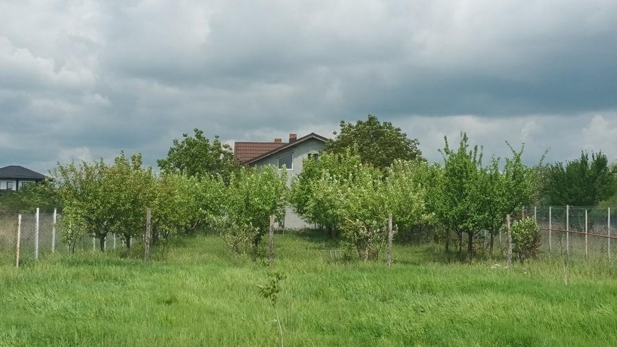 Moara Vlasiei , Casa cu teren 4250 m2 - 8