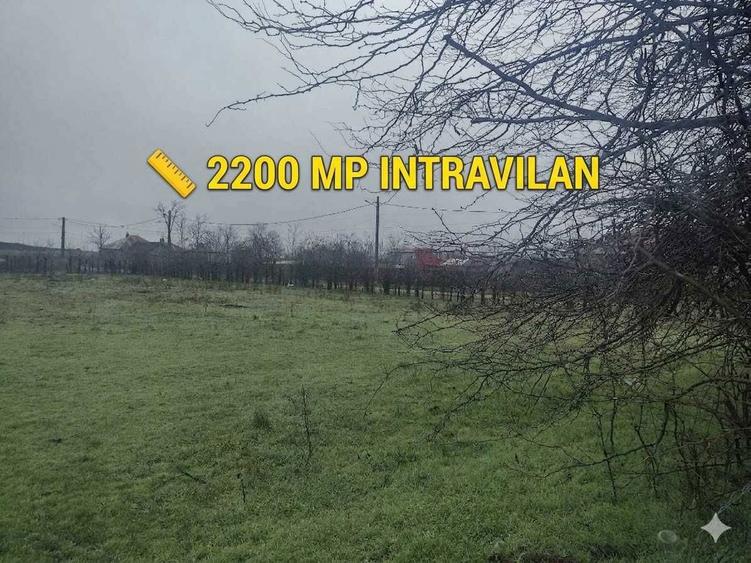 TEREN INTRAVILAN DE VANZARE la 85 km de Bucuresti - 5