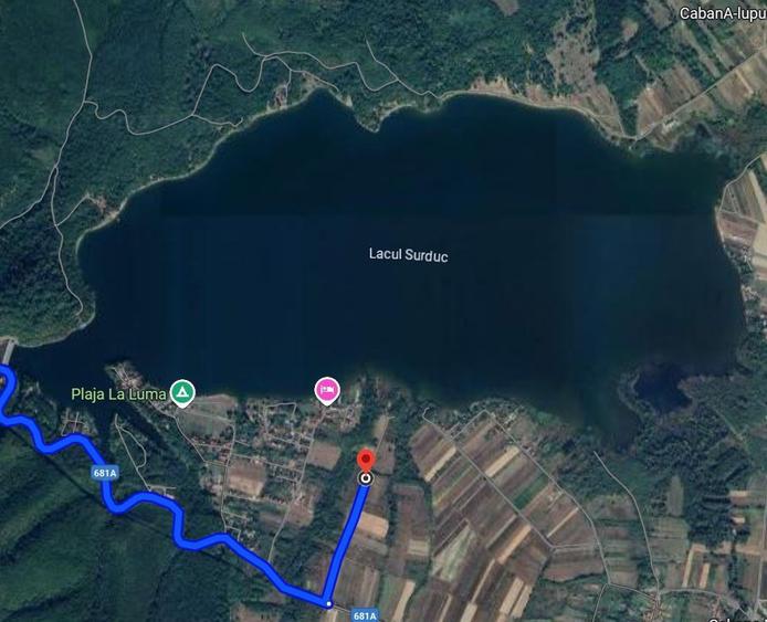 Teren intravilan 2900 mp - Investitii - Lacul Surduc - Fardea Timis - 5