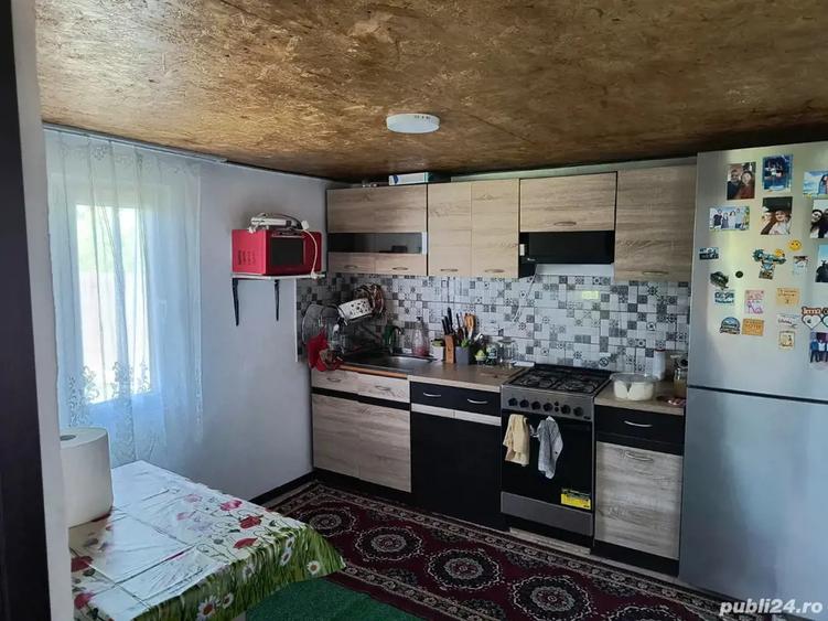 de vanzare casa la tara - 2