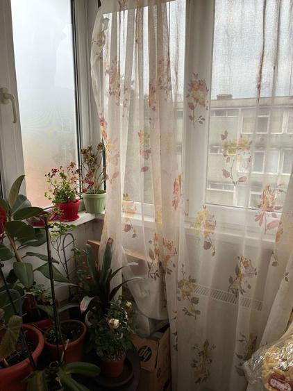 Apartament 2 camere Electroprecizia - 3