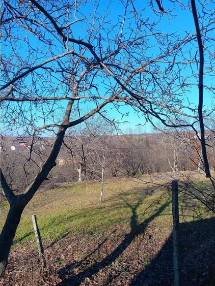 Bucium, Fundac Paun, teren1500mp. intravilan str asfaltata - 3