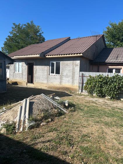 Casa BCA+gradina,vie,fantana, gard nou suprafata totala 1723m 17500 - 4