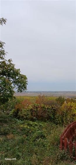 Reco Teren extravilan cu casa de vacanta in zona Episcopia - 1