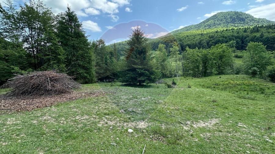 Teren 8500 mp, Valea Dalghiului - Dalghiu - vedere catre Ciucas - 13