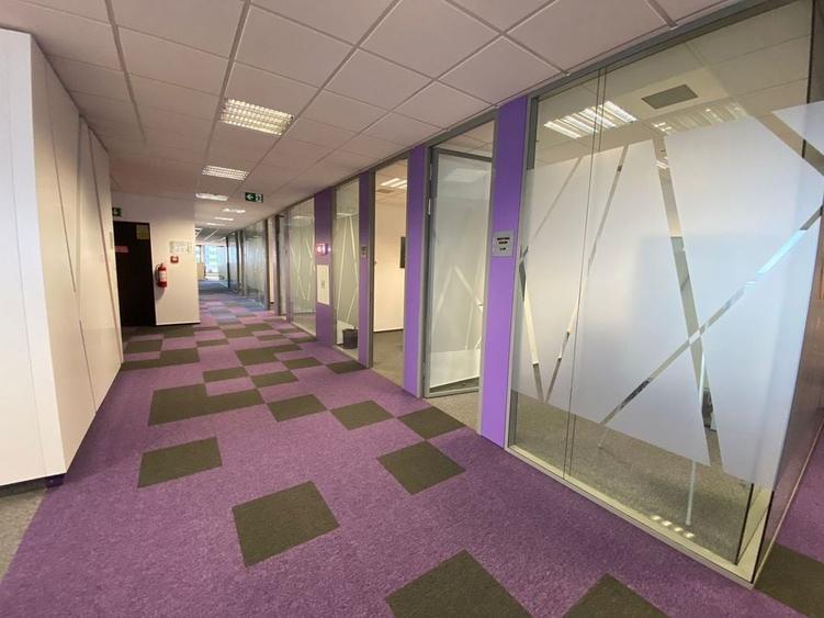 Floreasca Park - spatii de birouri amenajate si mobilate - 15