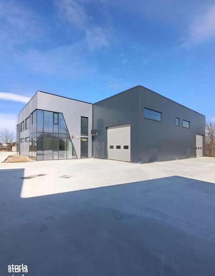 Hala industriala moderna cu birouri, de vanzare Chitila - 8