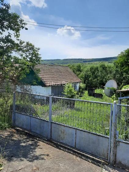 Casa de vanzare sat Tioltiurcasa Casa de vanzare sat Tioltiurcasa