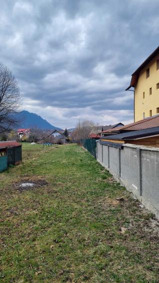 Teren de vanzare - 5