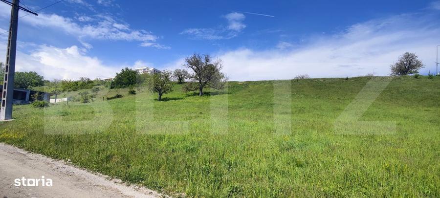 Teren Panoramic 15.500 mp Investitie sau Dezvoltare, Zona Aleea Ma - 4
