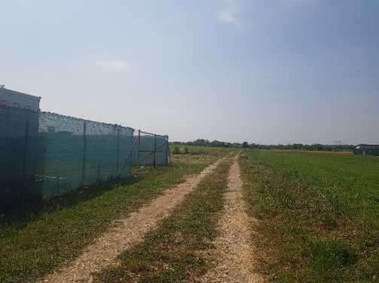 Loturi de teren parcelat, Sabareni, intravilan, 620-650 mp - 13