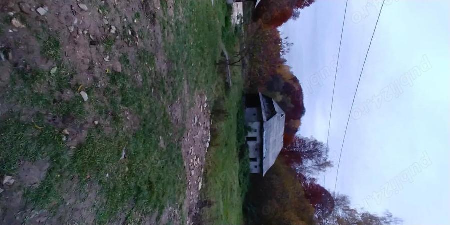 Proprietar - Vand sau Schimb - Casa si teren in Preluca Noua - Maramures - 7