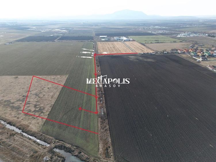 Parcele pentru Gradini / Relaxare / Constructii Usoare - 4