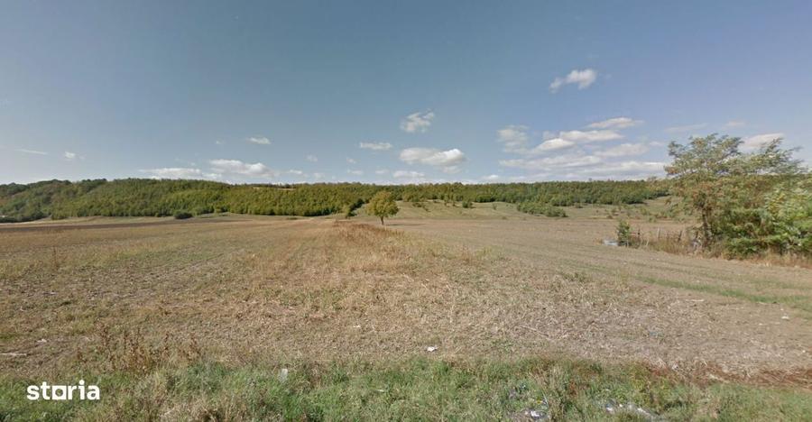 Vand teren construibilStr. N. Balcescu, G. Vitioarei/Valenii de Munte - 2