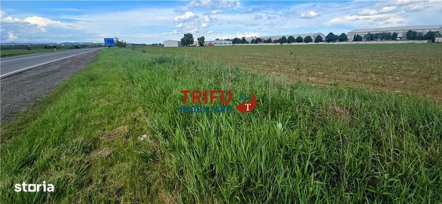 Teren intravilan industrial cu PUZ aprobat - 3