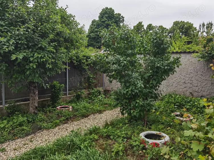 Baneasa, Garlei - Regina Maria, Vand sau Schimb casa d+p+e+m 200 mp+175 mp teren - 9