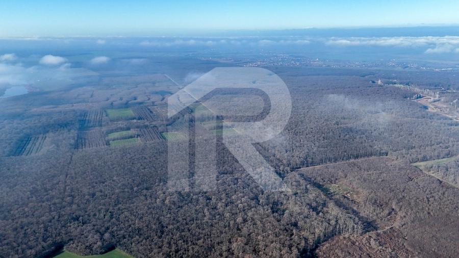 Teren langa Manastirea Sfantul Nicolae Sitaru - 9