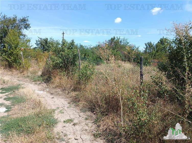 Teren intravilan in localitatea Cornetu cu deschidere mare, ideal pentru dezvolt - 1