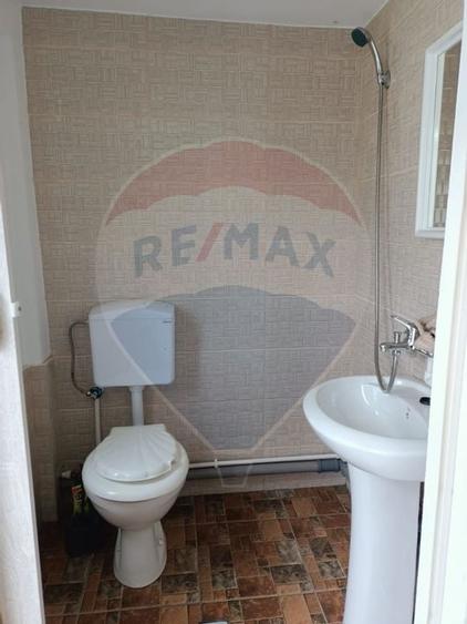 Vânzare casa la munte - zona turistica - Baia de Fier - 18