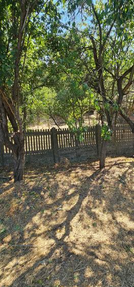 Teren de vanzare - 7