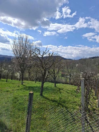 Teren intravilan de vanzare - 982 mp - Fedelesoiu - 4