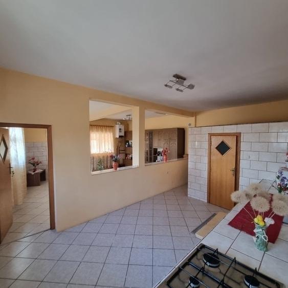 Pipera | Gradina | Iesire la lac | Terasa - 21