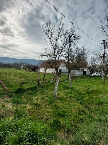 Casa cu gradina Galsa - 3