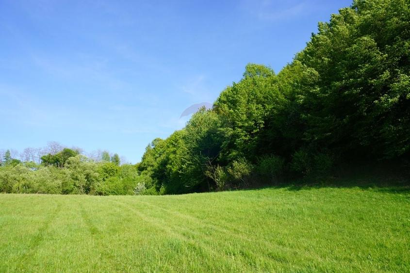 Teren 33,137mp Sighetu Marmatiei / Strada Mocanitei - 11