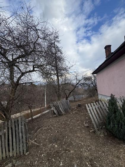 Vand case si teren Comuna Nucsoara Judetul Arges - 9