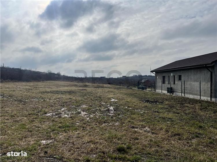 RECO teren intravilan in Oradea - 4