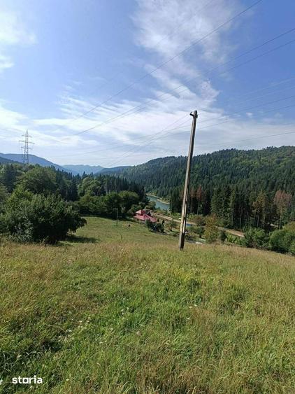 Teren de vanzare, 1500 mp, electricitate disponibila - 1