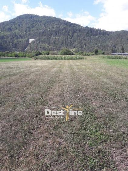 Teren de vanzare Pangarati 58.500 Euro 4488mp Intravilan - 3