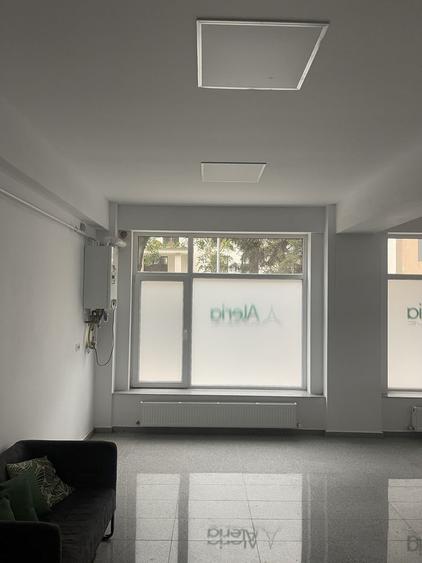 Spatiu de inchiriat - 5