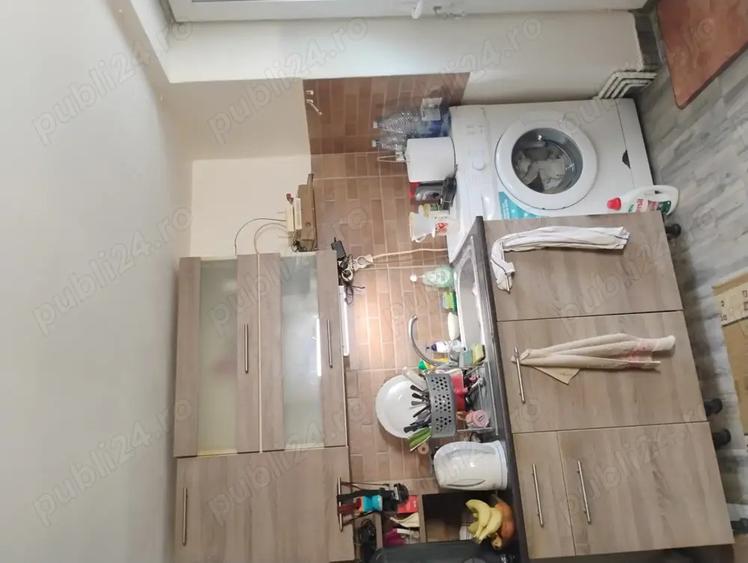 Casa la ?ara ?eica Mare - 2