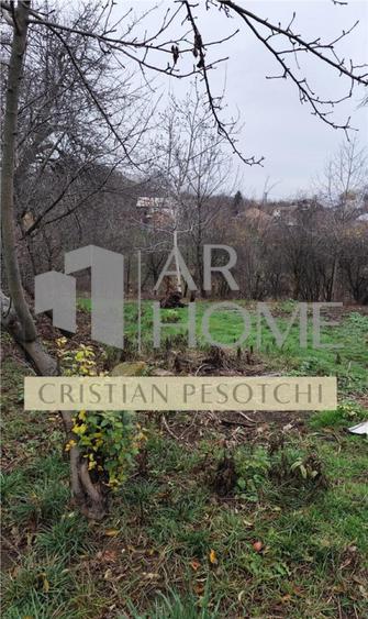 Casa Baicoi central 135 mp s.c. - 11