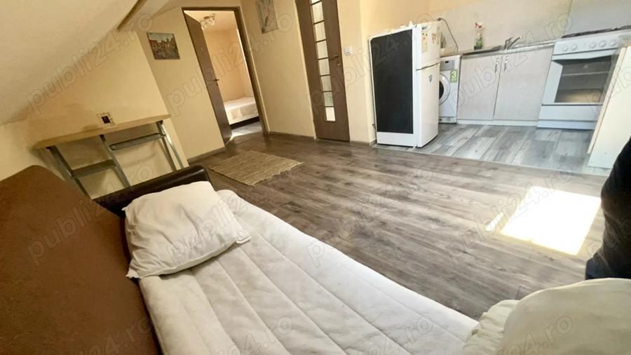 Pet Friendly Elisabetin Balcescu Maria Sinaia Medicina 2 Politehnica UVT - 5