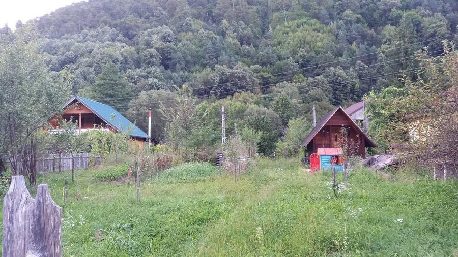 Teren cu cabanuta Pascoaia Brezoi Valcea - 2