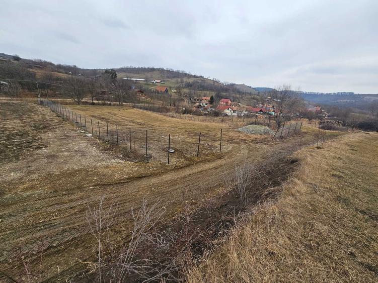 Teren intravilan Hamba - 5