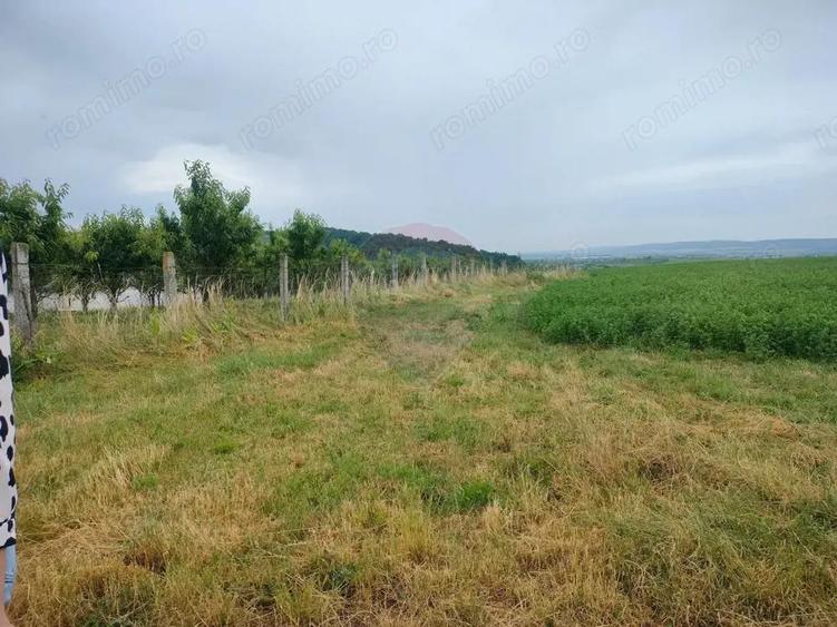 Teren extravilan 18200 mp Reghin - 1