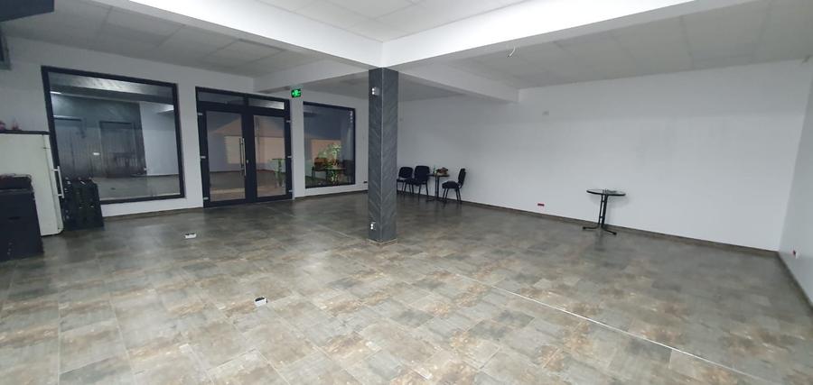 Voluntari Matei Millo Vanzare Vila  P+E1 -  Pipera  Emil Racovita - 4