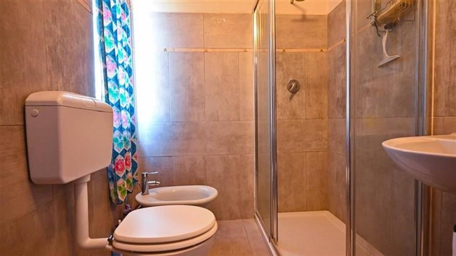 Ansamblu agrozootehnic cu renume,dotat +valoare exceptionala+potential versatil, - 40