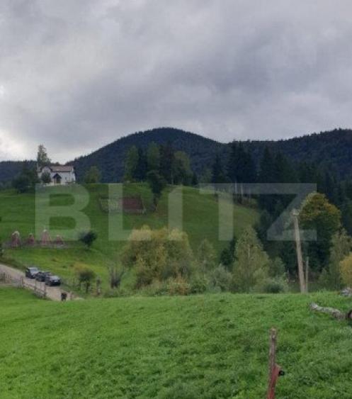 Teren 13.570 mp, Moieciu Pestera - 18