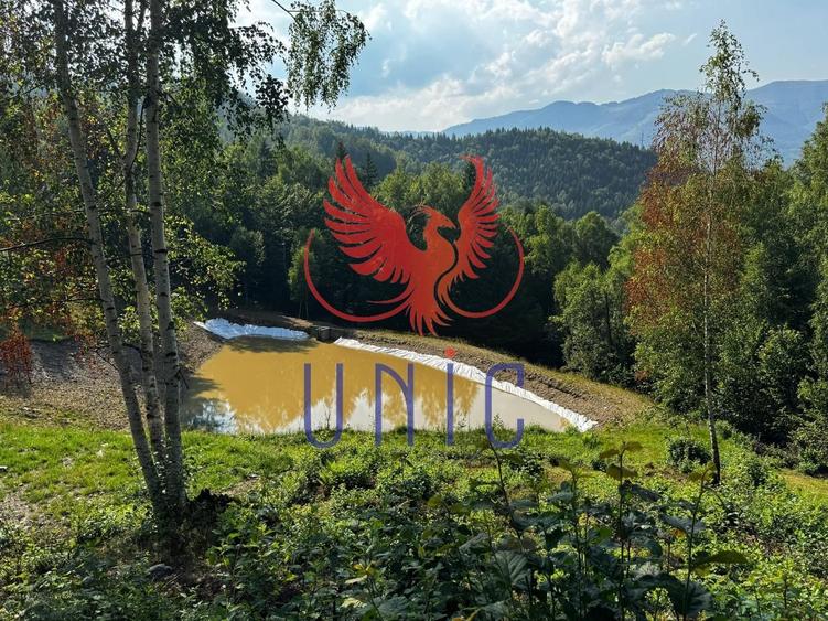 18000 mp de natura pura ,Lupeni, langa Straja - 25