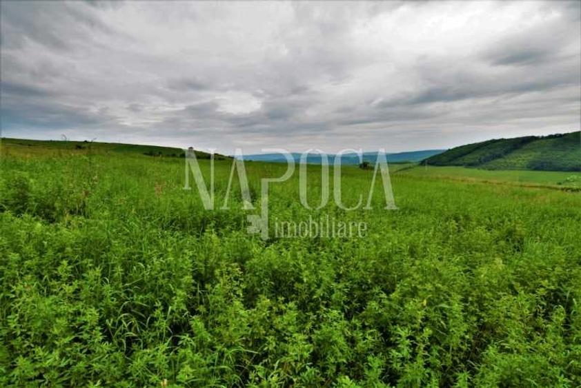 Teren extravilan pentru constructii de vanzare in Popesti - 2