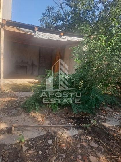 Casa individuala in Cruceni ,la granita cu Serbia - 10