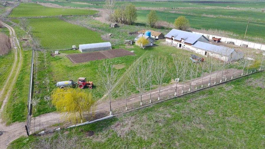 Ferma de vanzare - 1