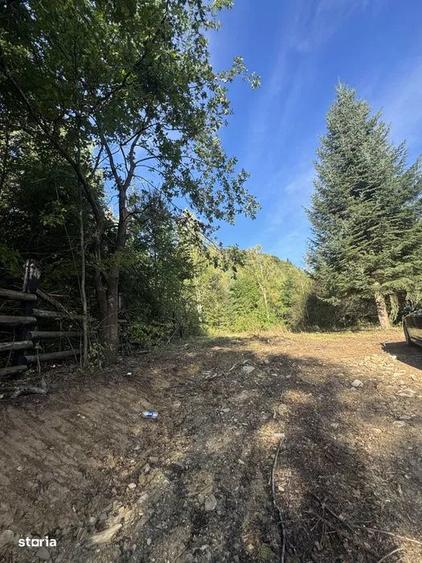 Teren , platou drept, 6000mp , Sucevita - 2